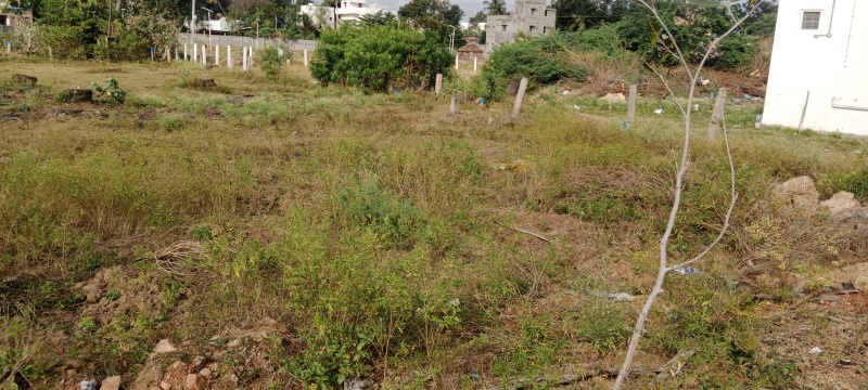  Agricultural Land 1 Acre for Sale in Palamedu, Madurai