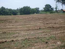  Agricultural Land for Rent in Kunigal, Tumkur