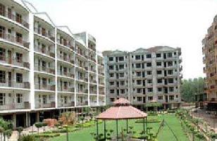 1 BHK Flat for Sale in Sector 20 Panchkula