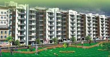 3 BHK Flat for Sale in Sector 20 Chandigarh