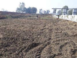  Residential Plot for Sale in Modipuram, Meerut