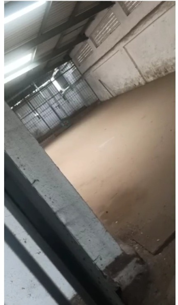  8500 Sq.ft. Factory for Rent in Sachin GIDC, Surat