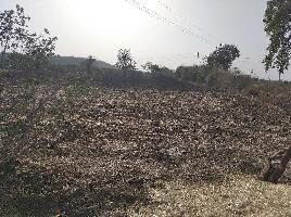  Agricultural Land for Sale in Bhankheda Amravati, Amravati