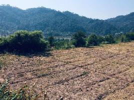  Commercial Land for Sale in Nalagarh, Solan