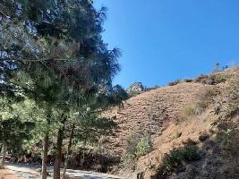  Commercial Land for Sale in Theog, Shimla