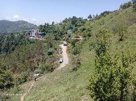  Commercial Land for Sale in Shoghi, Shimla