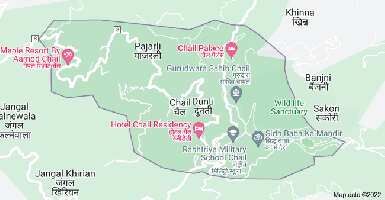  Agricultural Land for Sale in Chail, Shimla