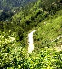 Commercial Land for Sale in Beolia, Shimla