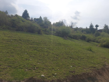  Agricultural Land for Sale in Tutikandi, Shimla