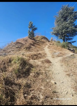  Residential Plot for Sale in Theog, Shimla