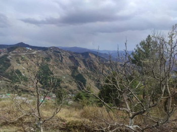  Commercial Land for Sale in Theog, Shimla