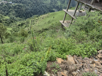  Residential Plot for Sale in Ragyan, Shimla