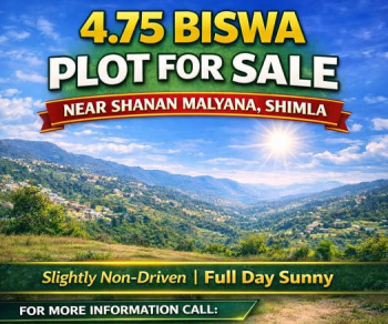  Residential Plot for Sale in Malyana, Shimla
