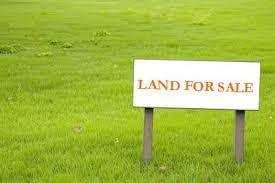  Residential Plot for Sale in Kojakolli, Udupi