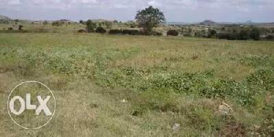  Agricultural Land for Sale in Saraswatpur, Hubli