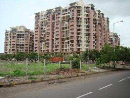 1 BHK Flat for Rent in Sanpada, Navi Mumbai