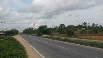  Commercial Land for Sale in Nere kalan, Sitapur, Sitapur