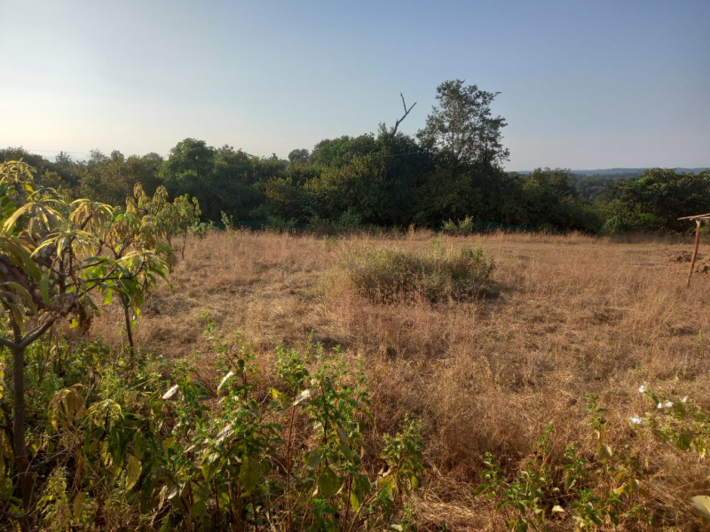 Agricultural Land 5 Ares for Sale in