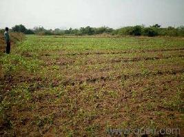  Agricultural Land for Sale in Akkalkot, Solapur