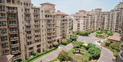 3 BHK Builder Floor for Sale in DLF Phase II, Gurgaon