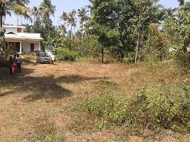  Residential Plot for Sale in Kodakara, Thrissur