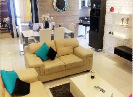 3 BHK Flat for Sale in Ambala Highway, Zirakpur