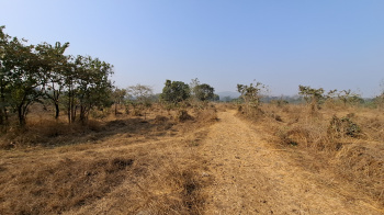  Agricultural Land for Rent in Waghbil, Thane