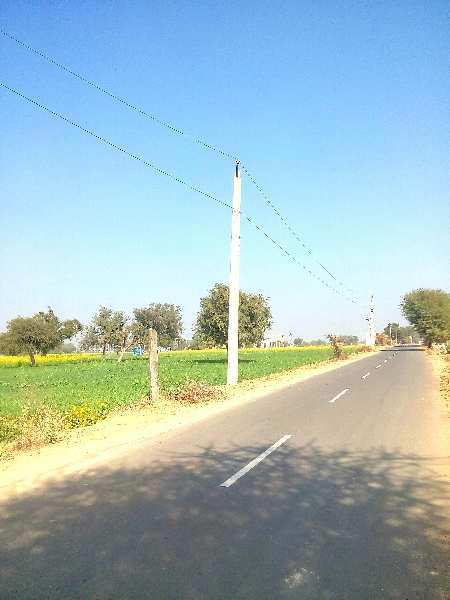 Agricultural Land 3025 Sq. Yards for Sale in Bawal, Rewari
