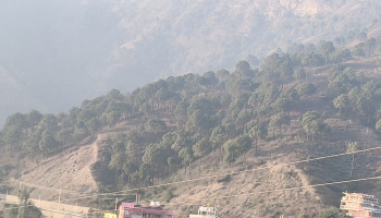 Agricultural Land for Sale in Kandaghat, Solan