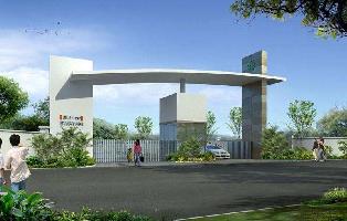  Residential Plot for Sale in Dadri, Gautam Buddha Nagar