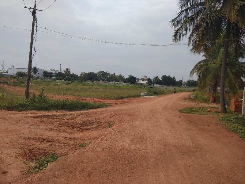 18000 Sq.ft. Residential Plot for Sale in Hoskote, Bangalore (REI1084131)