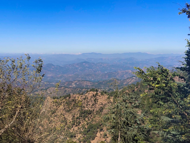  2144 Sq. Meter Agricultural/Farm Land for Sale in Kasauli, Solan