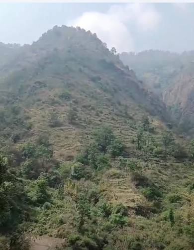  24200 Sq. Meter Agricultural/Farm Land for Sale in Rajgarh Road, Solan