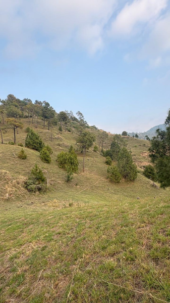  98 Bigha Agricultural/Farm Land for Sale in Rajgarh Road, Solan