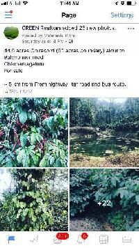  Agricultural Land for Sale in Kanathi, Chikmagalur
