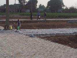  Residential Plot for Sale in Pari Chowk, Greater Noida