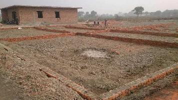  Residential Plot for Sale in Pari Chowk, Greater Noida