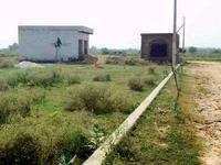  Residential Plot 125 Sq. Yards for Sale in Pari Chowk, Greater Noida