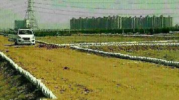  Residential Plot for Sale in Yamuna Expressway, Greater Noida