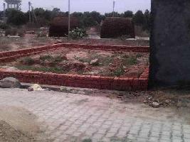  Residential Plot for Sale in Basilva Colony, Faridabad