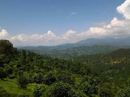  Commercial Land for Sale in Dogaon, Nainital