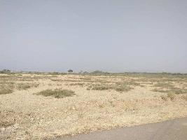  Agricultural Land for Rent in Sira, Tumkur