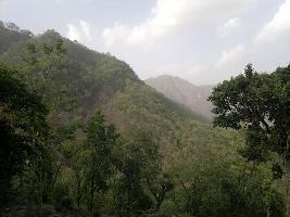  Commercial Land for Sale in Jeoly Kot, Nainital