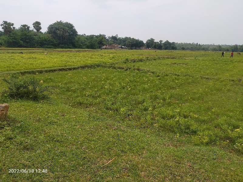 Agricultural Land 6 Bigha for Sale in Rampurhat, Birbhum
