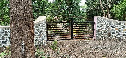  Agricultural Land for Sale in Saralgaon, Murbad, Thane