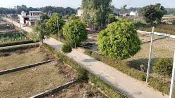  Residential Plot for Sale in Kakori, Lucknow