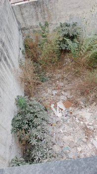  Residential Plot for Sale in Sector 2 Panchkula