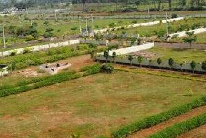  Residential Plot for Sale in Noida Extension, Greater Noida