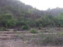  Residential Plot for Sale in Alibag, Raigad