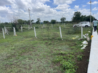  Residential Plot for Sale in Kandi, Sangareddy